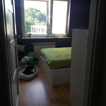 公寓 Apartament Sara 索波特