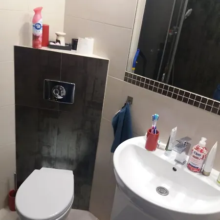 公寓 Apartament Sara 索波特